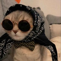 Komorebi (@shifuinasnafu) Twitter profile photo