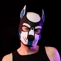 PupMainac (@pupmainac) 's Twitter Profile