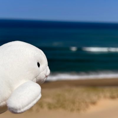 __OoOoxX__'s profile picture. 高卒成人済(25↑)🐬