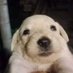Kadir Larsson (@deepminecap) Twitter profile photo Kadir Larsson (@deepminecap) Twitter profile photo