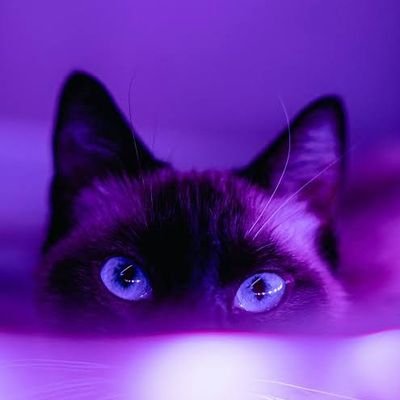 allbymyself1819's profile picture. 