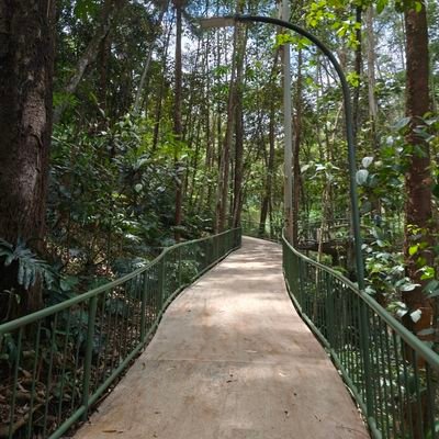 STIIKNO's profile picture. 