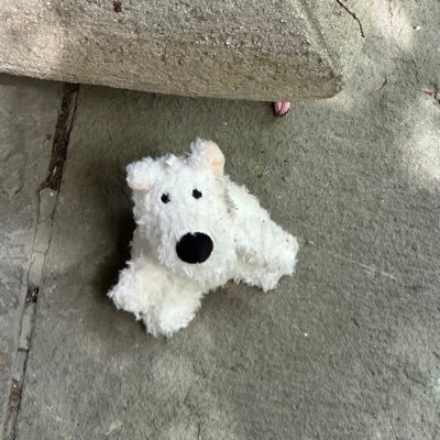 Johnson58473501's profile picture. 