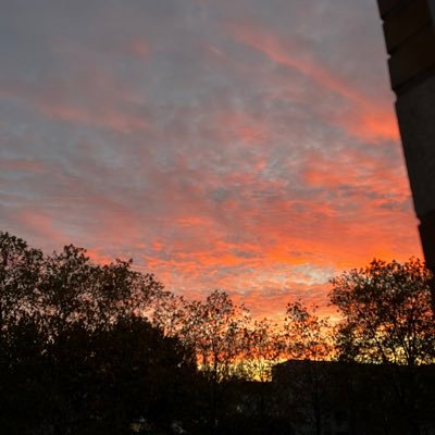 neptune_rey's profile picture. 