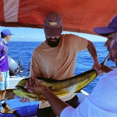 triplejaku's profile picture. Founder @btcfarmersmrkt / Owner @beefbackbetter / @adoptingbtc #AB24 + #AB25 / @geyserfund grants /