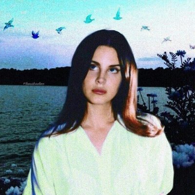 #ScottLang: does anyone have any orange slices? || 19 || she/her || inactive