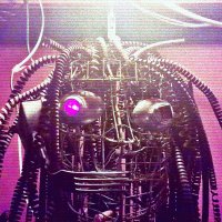 dafaqtor // (@dafaqtor) 's Twitter Profile