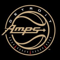 Detroit Amplifiers (@detroitamps) 's Twitter Profile Photo Detroit Amplifiers (@detroitamps) 's Twitter Profile Photo