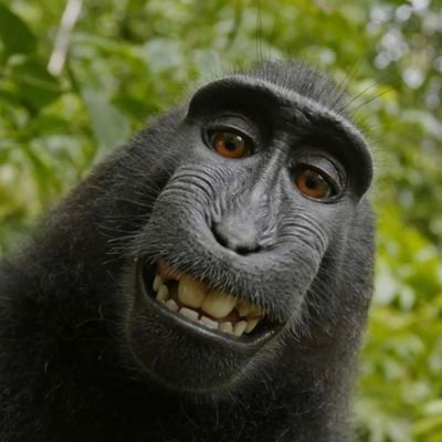 aby_king5461's profile picture. 