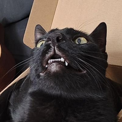 Acá va la data.
Necesito trabajo ayer.
:agregar links: