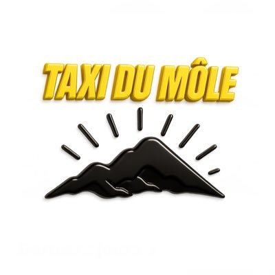 mole_taxi7031's profile picture. Il y a actuellement une Audi A 6 en Taxi à Bonneville en 2024.