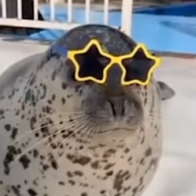 saccheggiato's profile picture. He/Him, 22