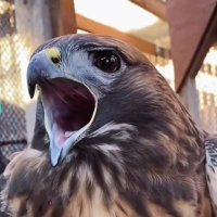 aaamm (@aaamm1354144) 's Twitter Profile