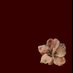 Nawraa❣️ (@nawraaa0) Twitter profile photo Nawraa❣️ (@nawraaa0) Twitter profile photo