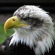 Gis (@gis82366839420) 's Twitter Profile Photo