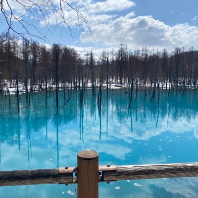 5l5u_f's profile picture. 