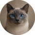 Henry Follett - Kitten Central (@henryjfollett) Twitter profile photo Henry Follett - Kitten Central (@henryjfollett) Twitter profile photo