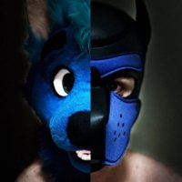Pup Wisey AD (@pupwisey) 's Twitter Profile Photo Pup Wisey AD (@pupwisey) 's Twitter Profile Photo