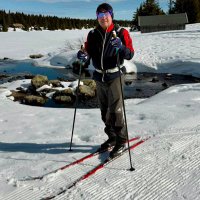 Nigel (@nigelpeterbrown) 's Twitter Profile