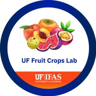 The @UF Fruit Crops Lab, part of @ufhorticulture, aims to support fruit growers and contribute to the development of the Florida fruit industries @UF_IFAS