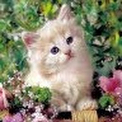 LeidyCa62828878's profile picture. 