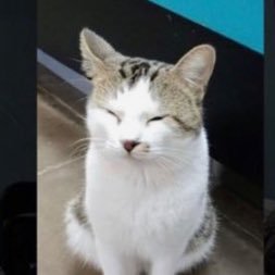 Rndom_Numbers's profile picture. 