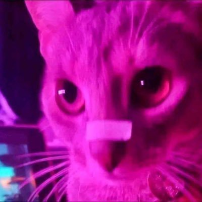 jerr_icho's profile picture. 