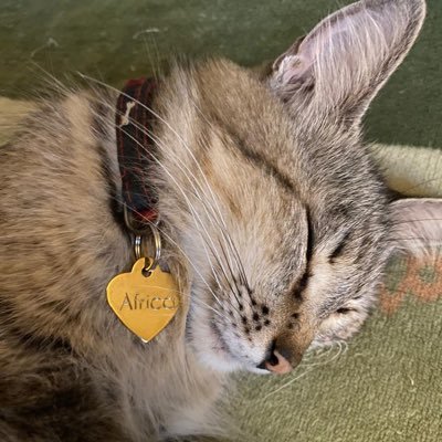 Joorgesosa's profile picture. ✨ 𝑇𝑢 𝑃 𝑖𝑠𝑐𝑖𝑠 𝐹𝑎𝑣𝑜𝑟𝑖𝑡𝑜 ✨