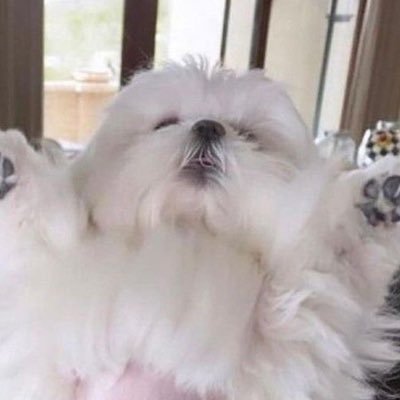 nieveeatsleaves's profile picture. i love macdonaldssss mmmhm yummy chezebrger in my gargantuan stomch ouufhxjvjhhh ima go goon