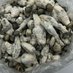magic mushrooms 🍄 (@brellohealth) Twitter profile photo magic mushrooms 🍄 (@brellohealth) Twitter profile photo
