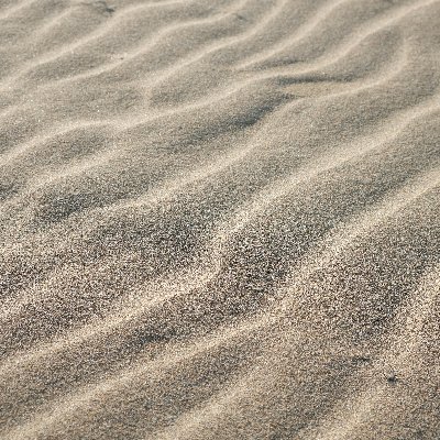 ShoxyRoxy's profile picture. gone! left up for archival purposes but will not be used again