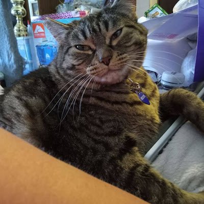 AshleyBurk96732's profile picture. 