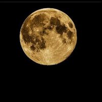 Myz🇹🇷🇹🇷🇹🇷🇯🇵🇯🇵🇯🇵 (@mehmety52410685) Twitter profile photo