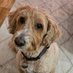 Joyce Durst (@joyced11851) Twitter profile photo Joyce Durst (@joyced11851) Twitter profile photo