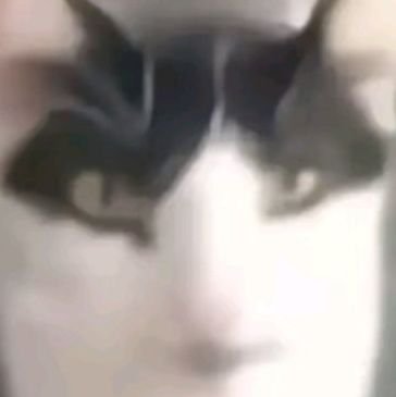 scripthead's profile picture. lol