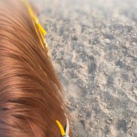 remas🐎 (@rasmas33) 's Twitter Profile