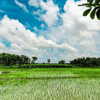 emon25902588052's profile picture. 