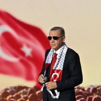 Enes 🇹🇷🇹🇷 (@ens3301) Twitter profile photo