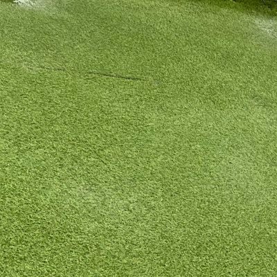 BOl2AOcLNeGyrrI's profile picture. 24さいでし