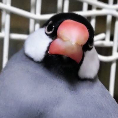 Twitter始めました☆ 初心者ですが宜しくお願い致します(*´ω`*)♪♪ V6、 アニメ・ゲーム漫画大好きです(о´∀`о)♪♪ 最近歌い手さんにハマってます(о´∀`о)♪♪ りょーくん・kainくん・ミロさん・rairuくん・鹿乃さん・松下さん
忙しくてイラスト更新出来ず😭無断転載禁止
