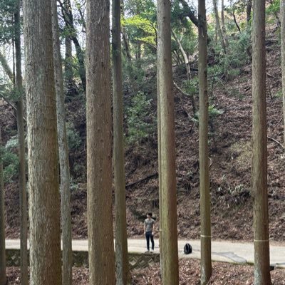 folklore___'s profile picture. @taylorswift13 #WeStandWithTaylor