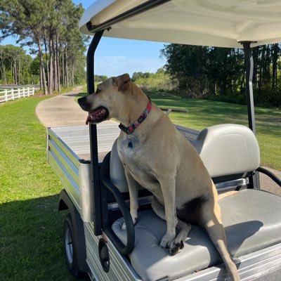 Assistant Superintendent Kelly Plantation / The Team