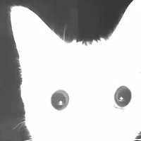 Offshore Oddities (@offshoreoddity) 's Twitter Profile Photo