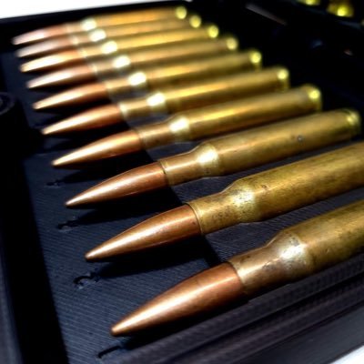 America’s favourite cartridge. Firearm enthusiast. Political shit-talker.