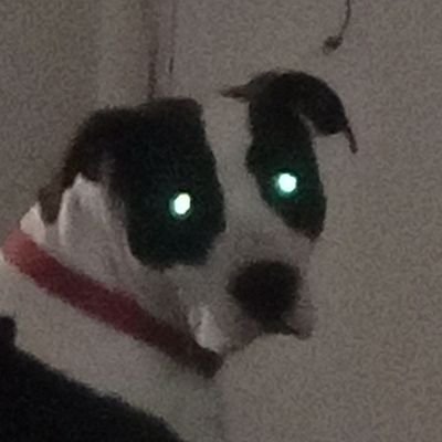 YouKnow322360's profile picture. okay ladies I need to find a woman that's okay with a man who loves eating pussy all day and is well endowed not to mention a nice guy party animal