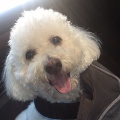 gowithchrist9's profile picture. I love my enemies ❤️🇻🇦