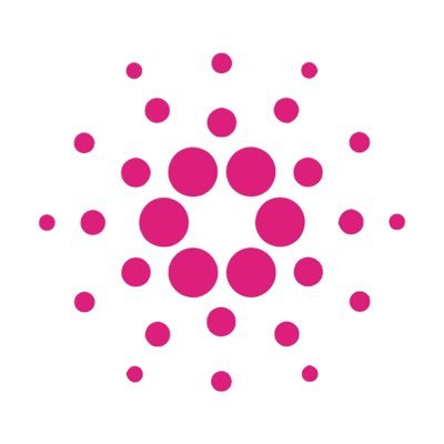 Intersect Budget Committee Seat, Cardano Bolivia Hub Founder, Paraguay Hub co-Founder, Ecuador Hub co-Founder, B.S. Biological Sciences #CardanoCommunity