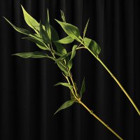 小窗帘 (@winniecurtain) 's Twitter Profile Photo