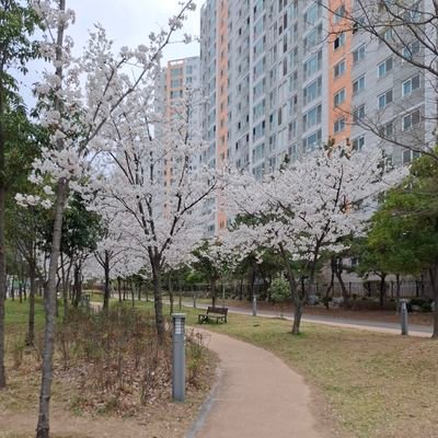 gimnayeon124339's profile picture. 