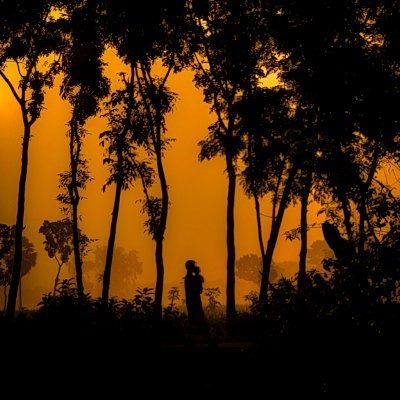 sefa1287372's profile picture. 